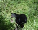 photo thumbnail #10
