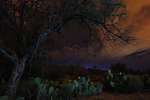photo thumbnail #4
