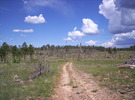 Featured Full Photo