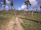photo thumbnail #2