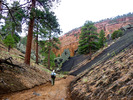 photo thumbnail #7