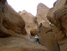 photo thumbnail #14