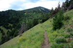 photo thumbnail #13