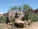 photo thumbnail #2