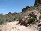 photo thumbnail #3