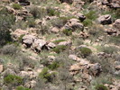 photo thumbnail #6