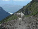 photo thumbnail #10