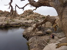 photo thumbnail #13