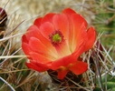 photo thumbnail #11
