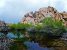 photo thumbnail #12