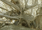 photo thumbnail #15