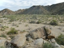 photo thumbnail #1