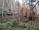 photo thumbnail #5