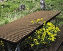 photo thumbnail #9