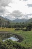 photo thumbnail #10