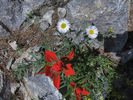 photo thumbnail #13