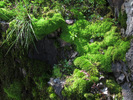 photo thumbnail #14