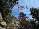 photo thumbnail #15