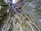 photo thumbnail #14