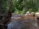 photo thumbnail #11