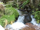 photo thumbnail #12
