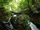 photo thumbnail #13