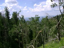 photo thumbnail #3