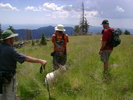 photo thumbnail #8