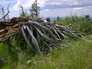 photo thumbnail #10