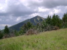 photo thumbnail #11