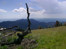 photo thumbnail #12
