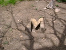 photo thumbnail #15