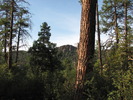 photo thumbnail #1