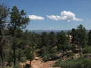 photo thumbnail #10