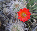 photo thumbnail #4