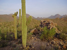photo thumbnail #3
