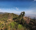 photo thumbnail #9
