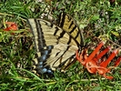 photo thumbnail #10