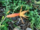 photo thumbnail #12