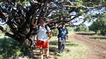 photo thumbnail #1