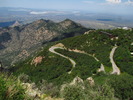 photo thumbnail #12
