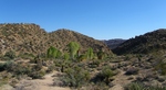 photo thumbnail #1