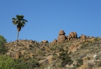 photo thumbnail #3