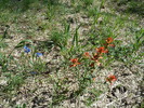 photo thumbnail #8