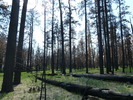photo thumbnail #9