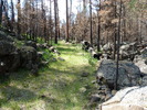 photo thumbnail #11