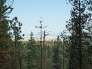 photo thumbnail #14