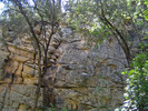photo thumbnail #4