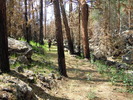 photo thumbnail #6