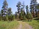 photo thumbnail #12